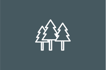 Mongolia’s Forest Carbon Program